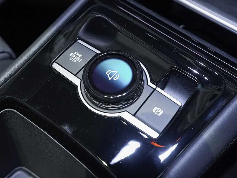 VW Tiguan 1,5 l eHybrid DSG R-Line AHK GSD NAVI WP